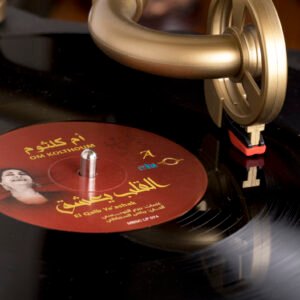 Vintage Gramophone Model 411 Plus - Image 10
